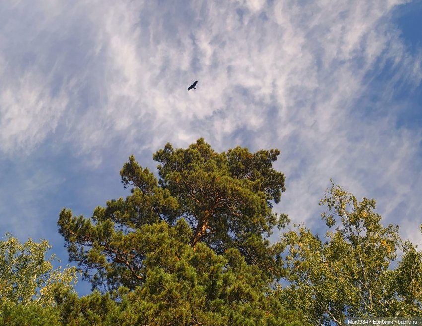 Для Музыкального фестиваля 2023 г -дуэт "JenGar"