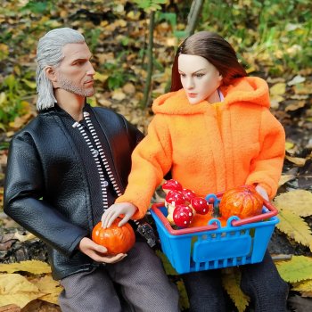 Сбор даров леса и осеннего урожая