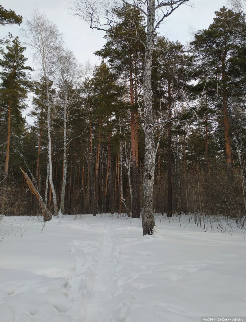 Новогодняя телепрограмма "Шире круг"