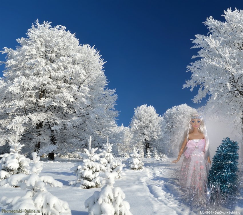 Новогодняя телепрограмма "Шире круг" (фото 10)