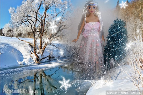 Новогодняя телепрограмма "Шире круг" (фото 5)