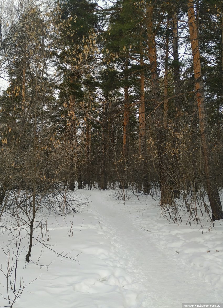 Новогодняя телепрограмма "Шире круг" (фото 8)