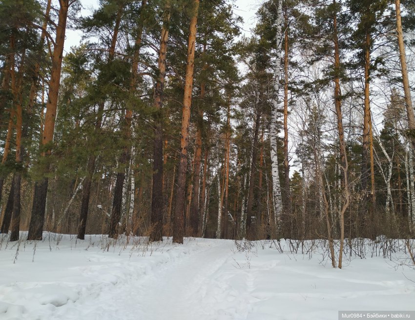 Новогодняя телепрограмма "Шире круг" (фото 2)