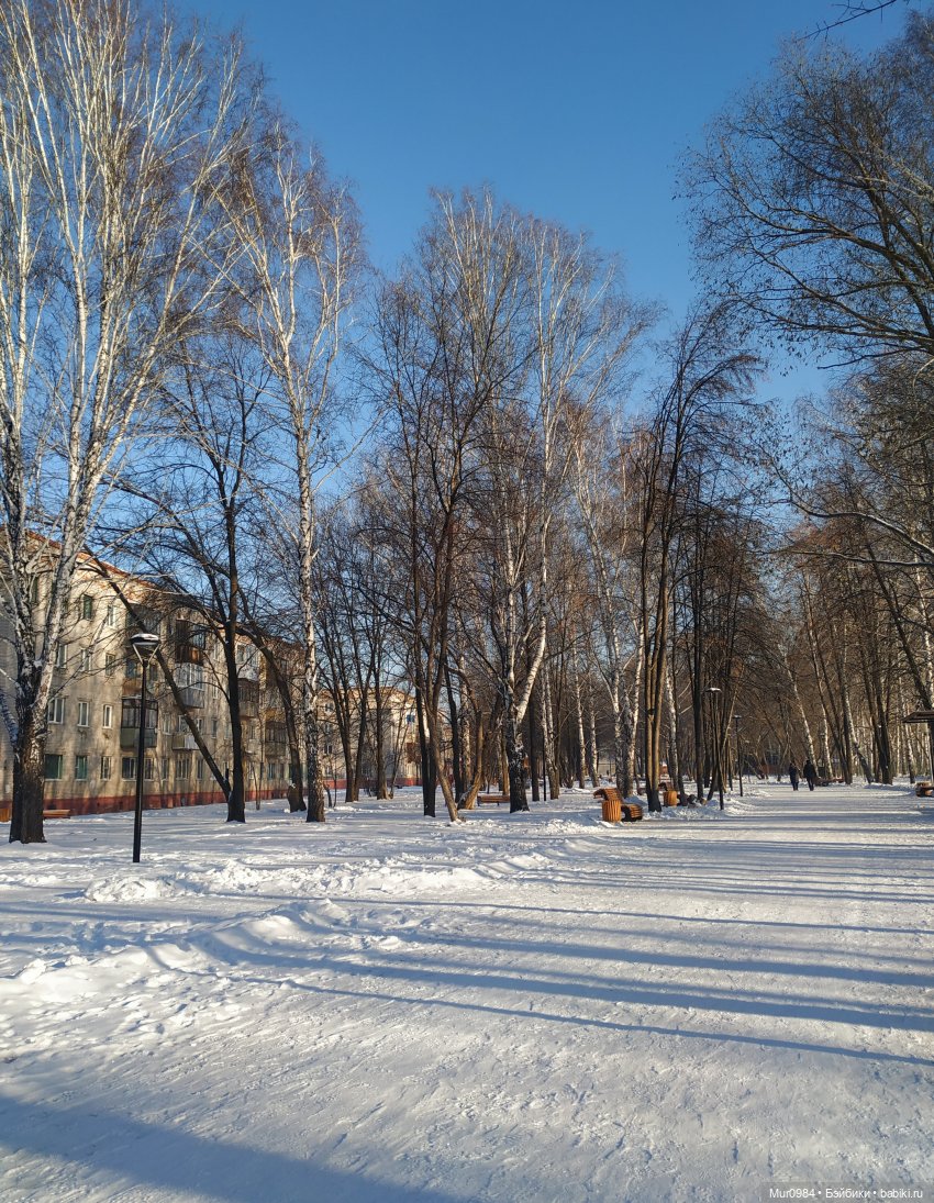 Новогодняя телепрограмма "Шире круг" часть 3 (фото 10)