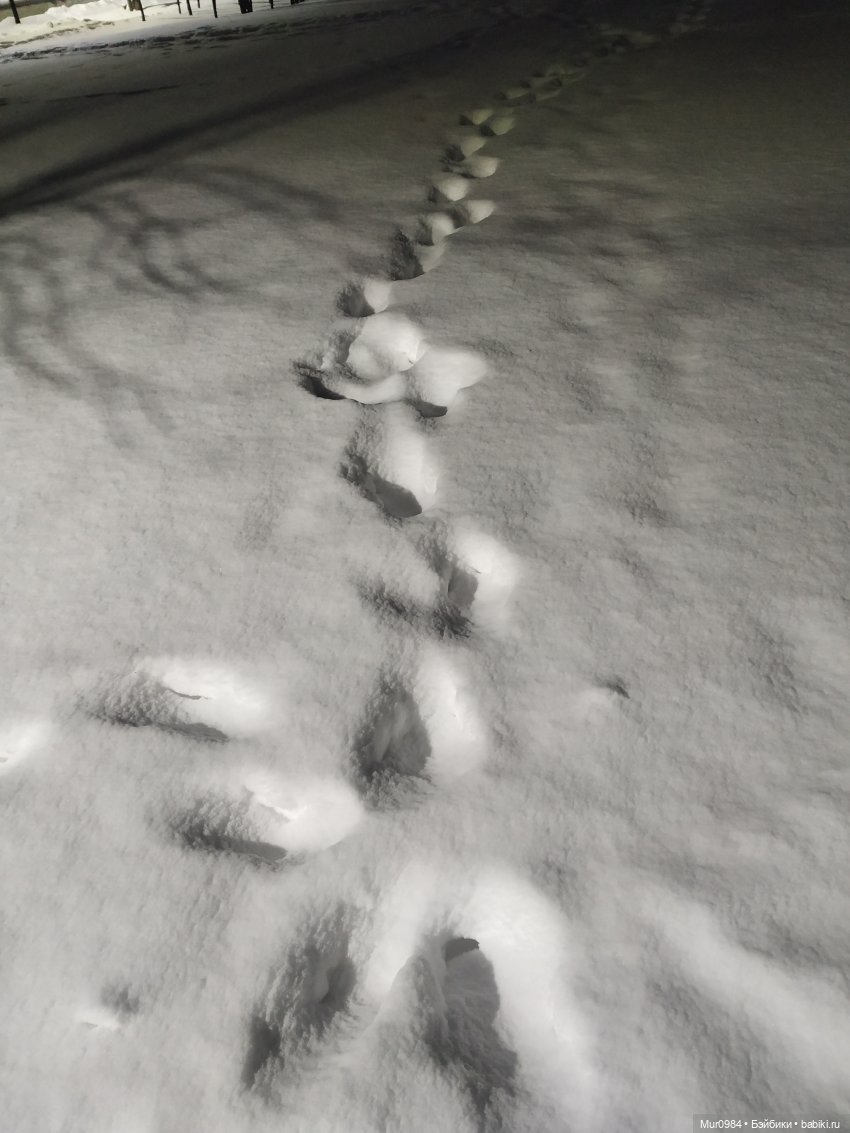 Новогодняя телепрограмма "Шире круг" часть 3 (фото 8)