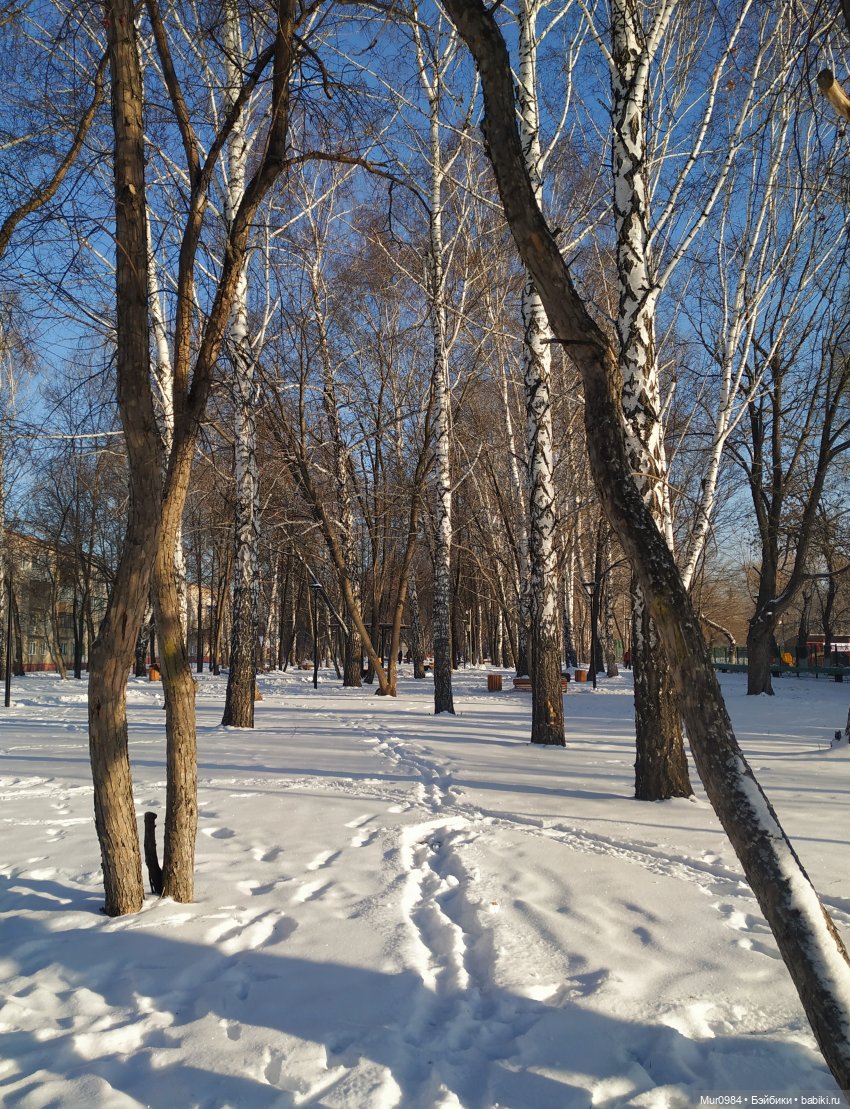 Новогодняя телепрограмма "Шире круг" часть 3 (фото 7)