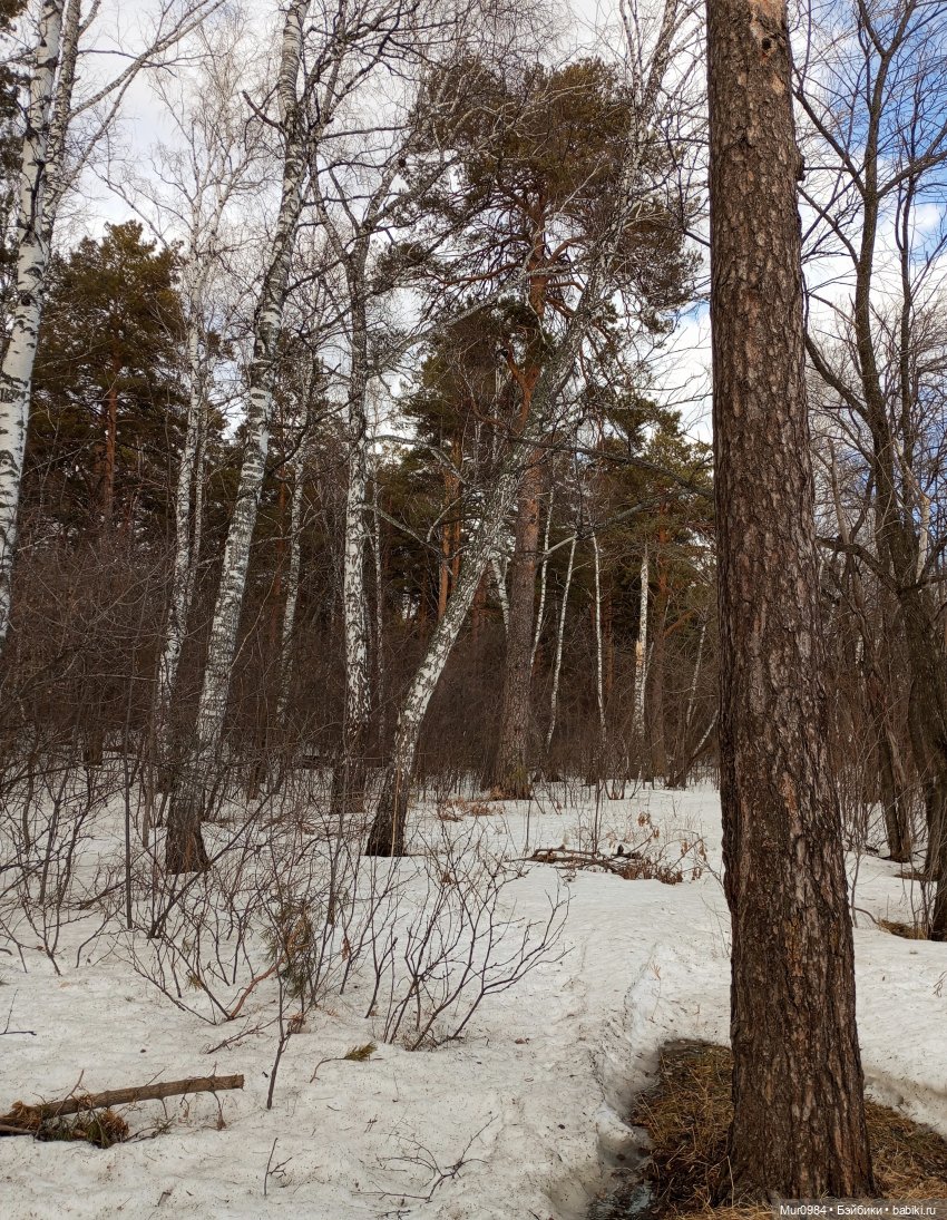 Моя не запланированная Баболичка (фото 10)