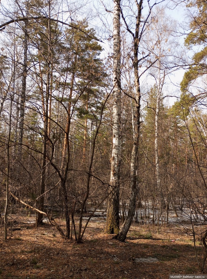 Весенняя прогулка Defaчек