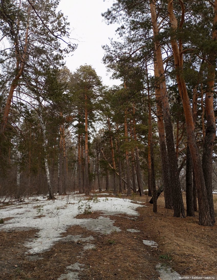 Весенняя прогулка Defaчек