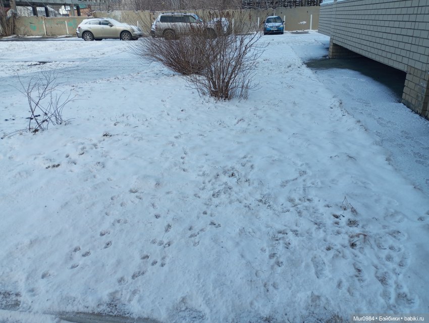 Весенняя прогулка Defaчек (фото 2)