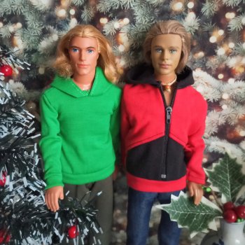 Один из новогодних подарков