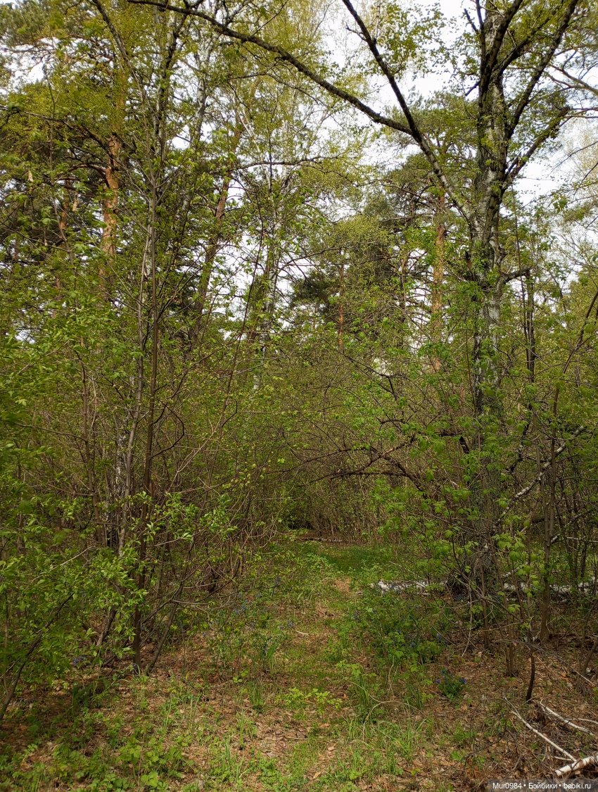 Ещё одна Дефочка (Defa Lucy) | Бэйбики Ещё одна Дефочка (Defa Lucy)