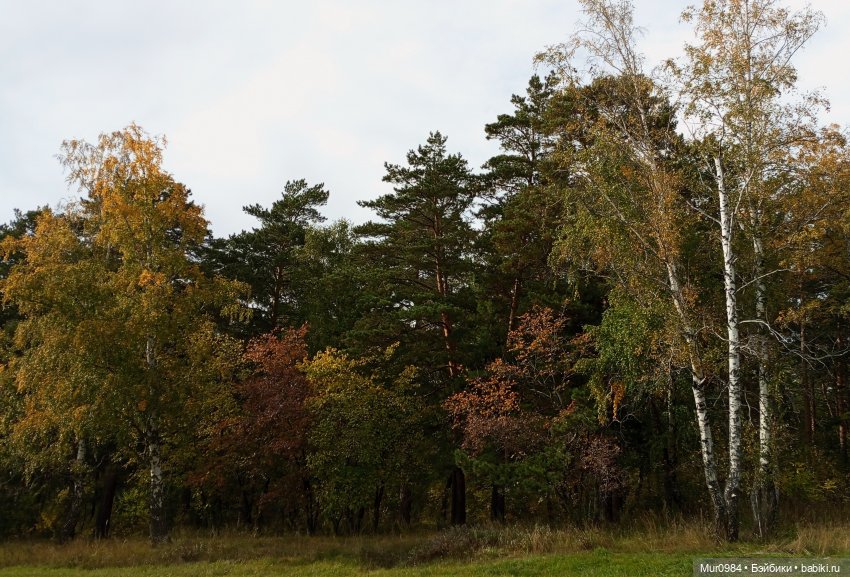 Наши новенькие псевдо Адонисы | Бэйбики Наши новенькие псевдо Адонисы (фото 4)