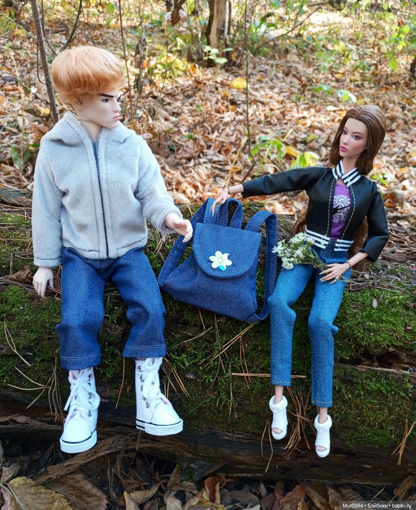 Прогулки в ещё осеннем и в уже зимнем лесу псевдо Адонисов (фото 4)