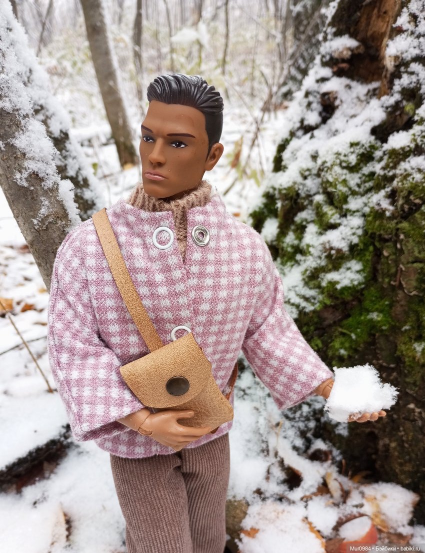 Прогулки в ещё осеннем и в уже зимнем лесу псевдо Адонисов