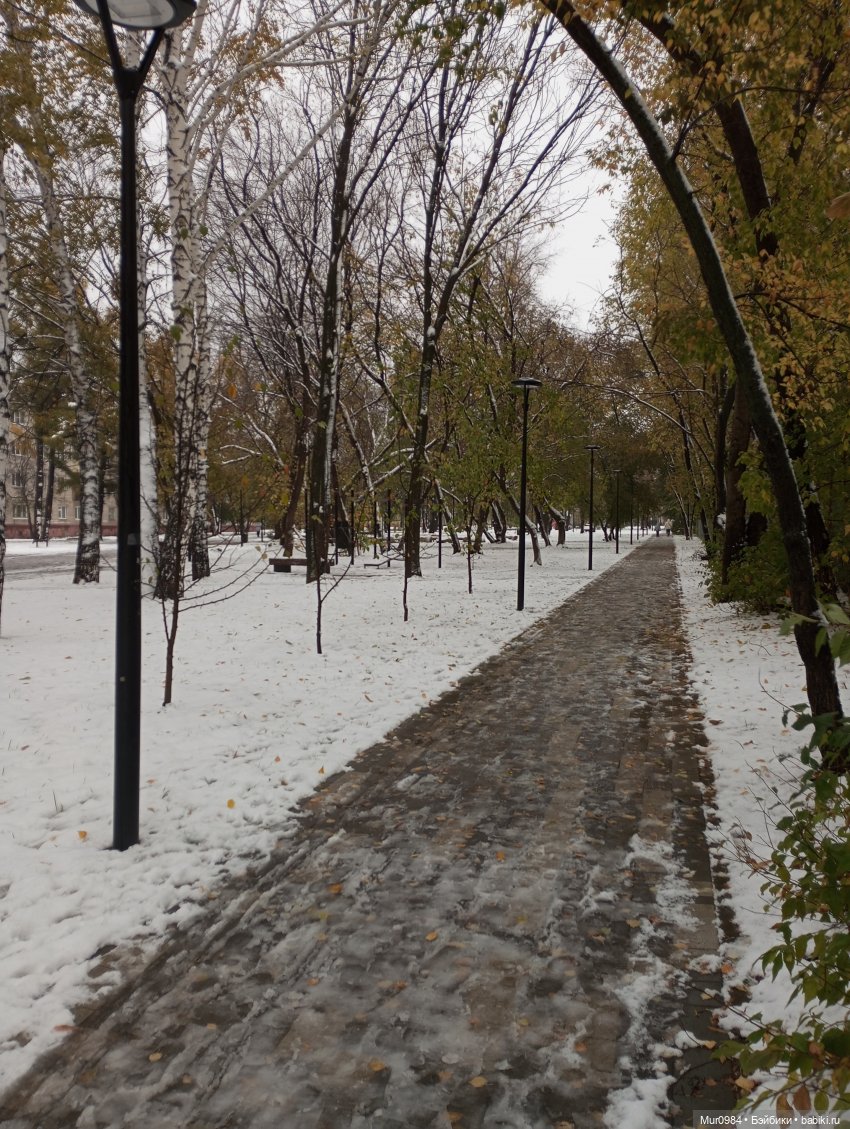 Прогулки в ещё осеннем и в уже зимнем лесу псевдо Адонисов (фото 8)