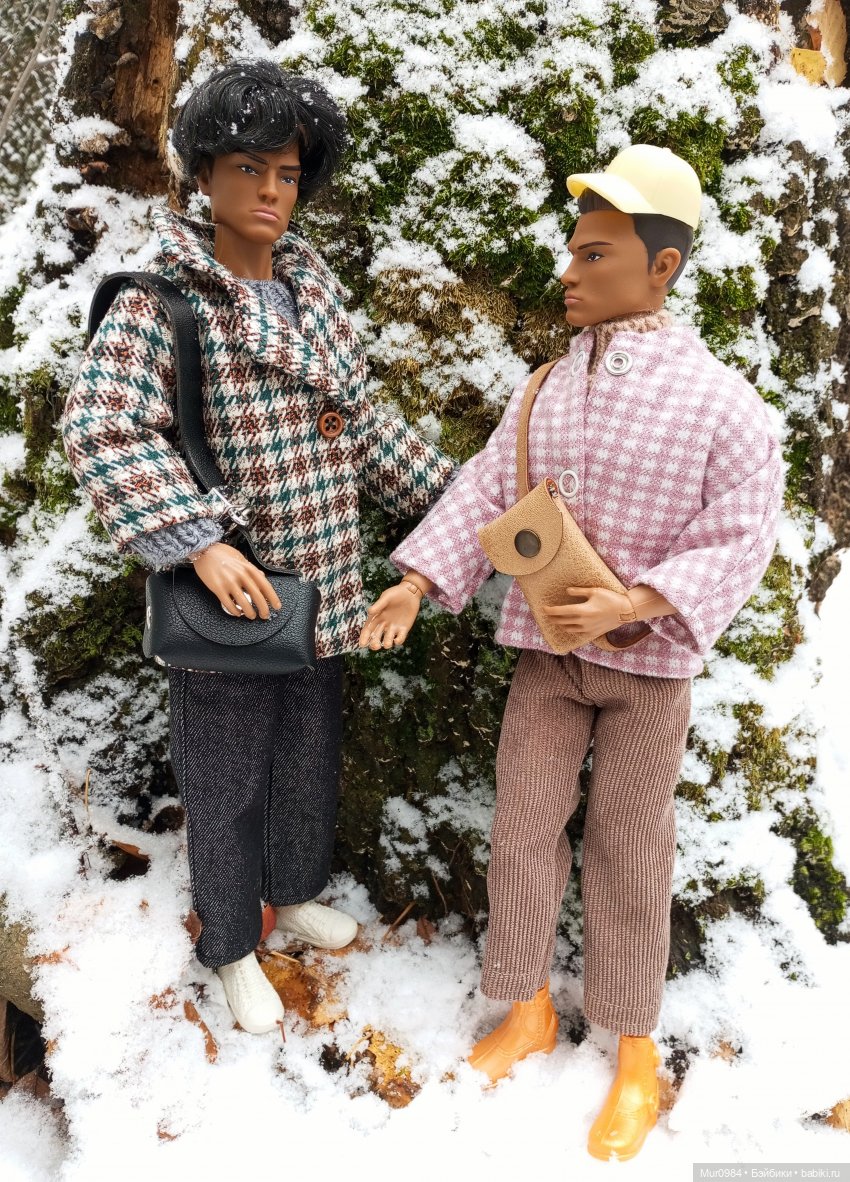 Прогулки в ещё осеннем и в уже зимнем лесу псевдо Адонисов