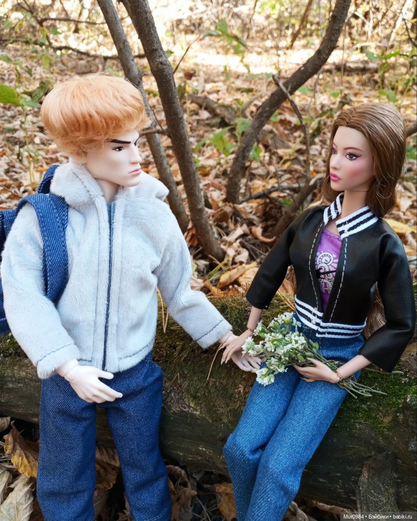 Прогулки в ещё осеннем и в уже зимнем лесу псевдо Адонисов (фото 3)