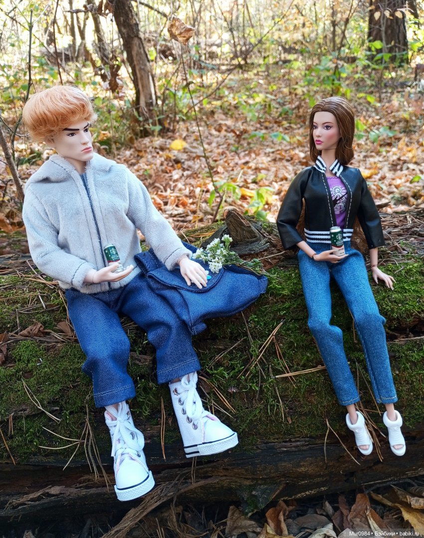 Прогулки в ещё осеннем и в уже зимнем лесу псевдо Адонисов (фото 5)