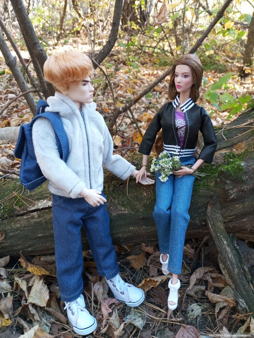 Прогулки в ещё осеннем и в уже зимнем лесу псевдо Адонисов (фото 7)