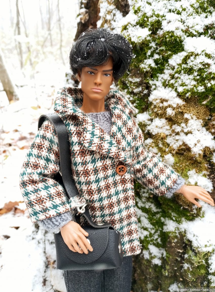 Прогулки в ещё осеннем и в уже зимнем лесу псевдо Адонисов (фото 10)