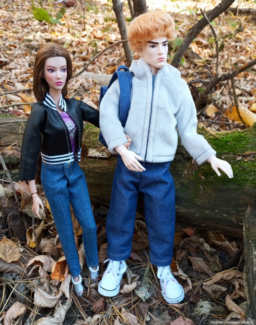 Прогулки в ещё осеннем и в уже зимнем лесу псевдо Адонисов (фото 6)