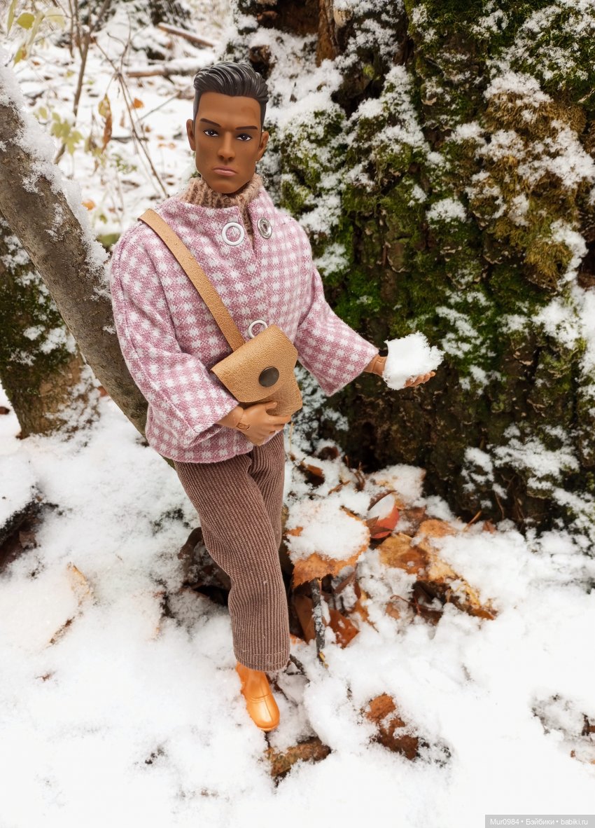 Прогулки в ещё осеннем и в уже зимнем лесу псевдо Адонисов