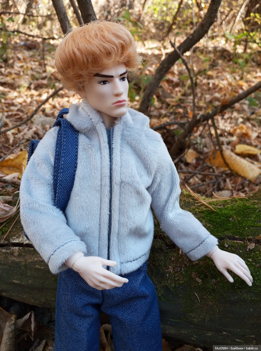 Прогулки в ещё осеннем и в уже зимнем лесу псевдо Адонисов