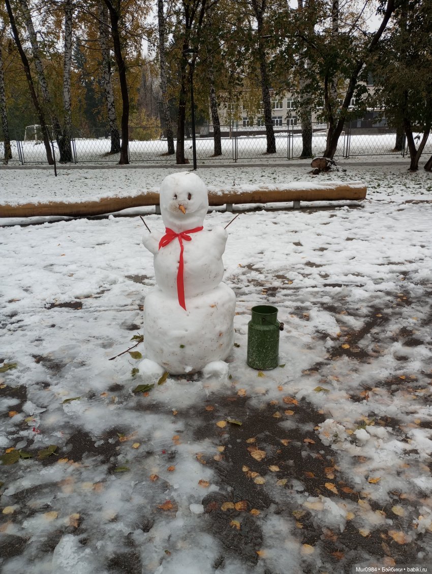 Прогулки в ещё осеннем и в уже зимнем лесу псевдо Адонисов (фото 9)