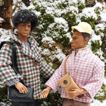 Прогулки в ещё осеннем и в уже зимнем лесу псевдо Адонисов.