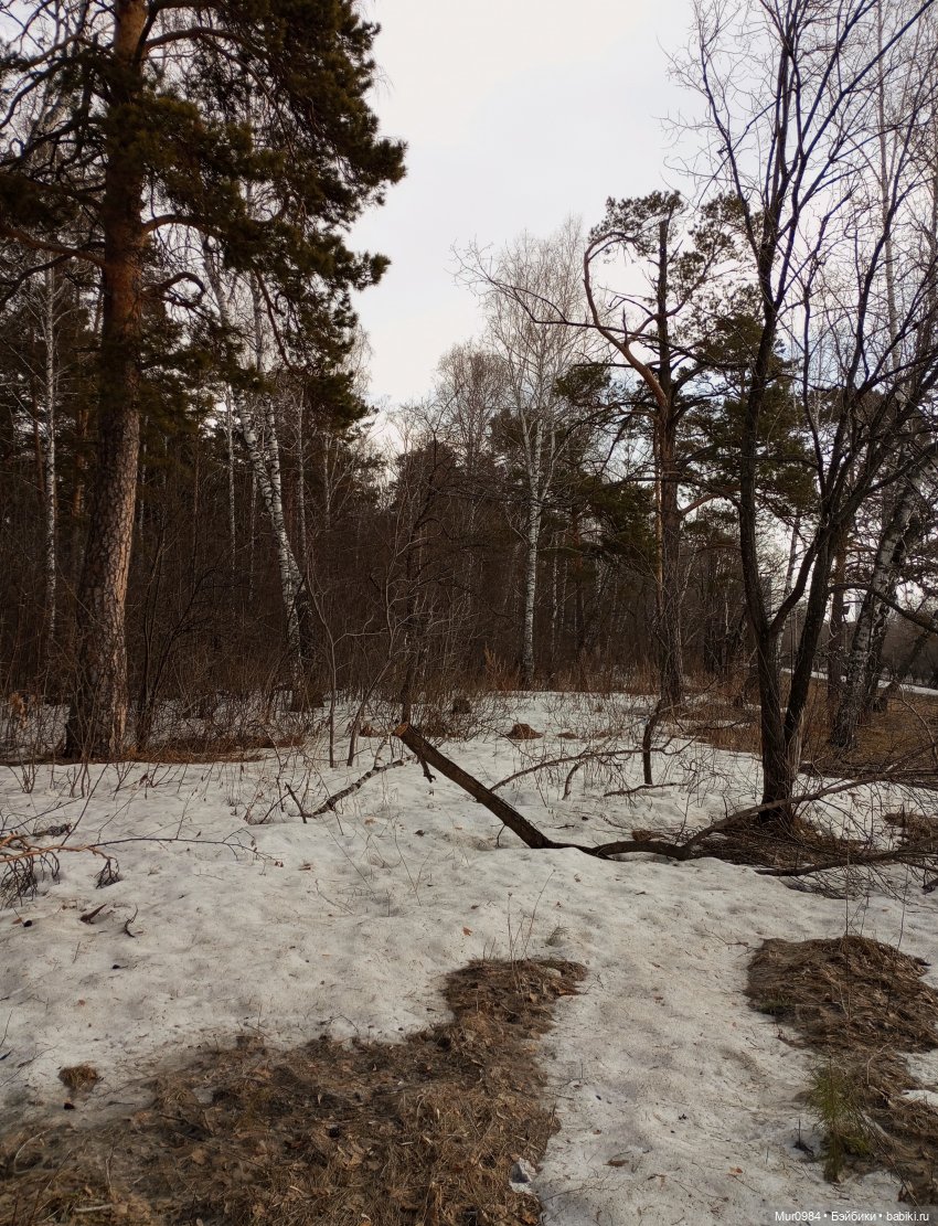 Наш новенький парень — Коллекционные экшн (фото 10)