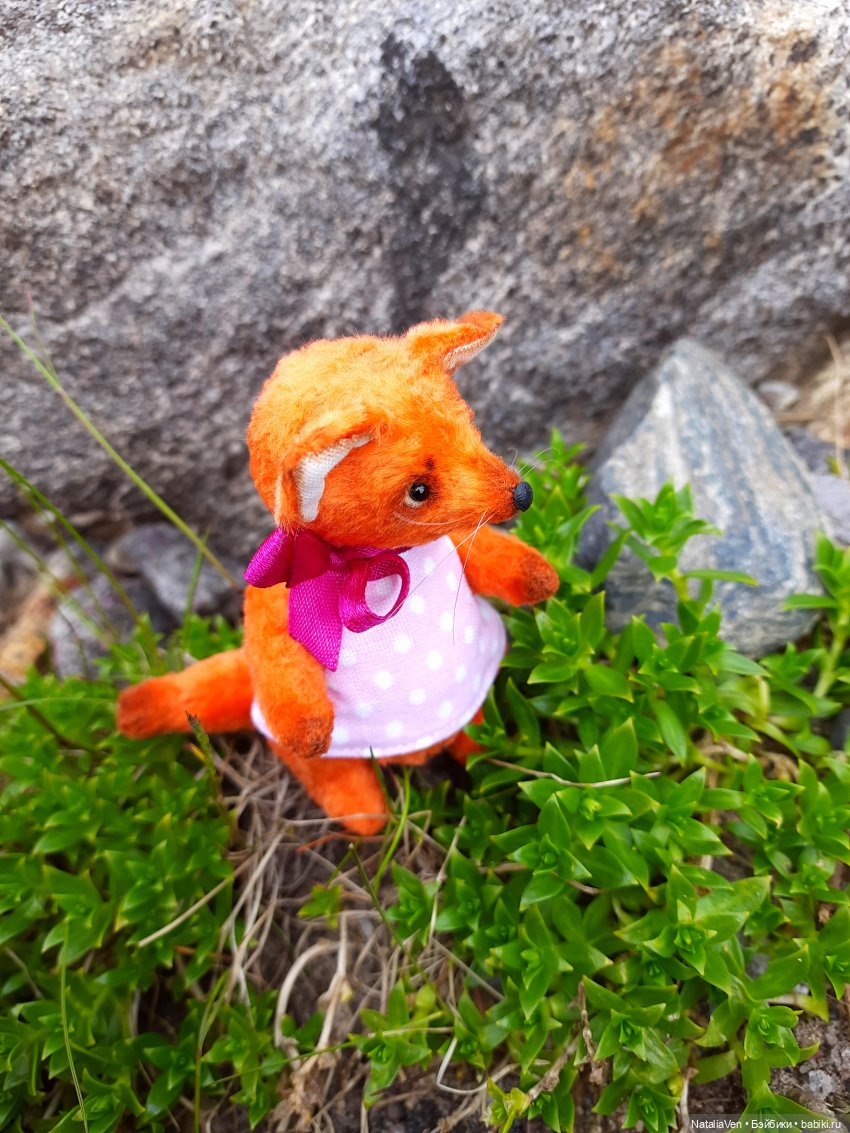 Оранжевое лето, лиса Алис и (фото 9)