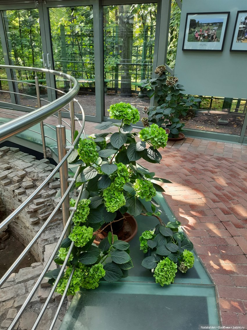 Лето «в стиле Zwergnase», или Мьёлль и Фе идут на поиски в Летний сад и Лес