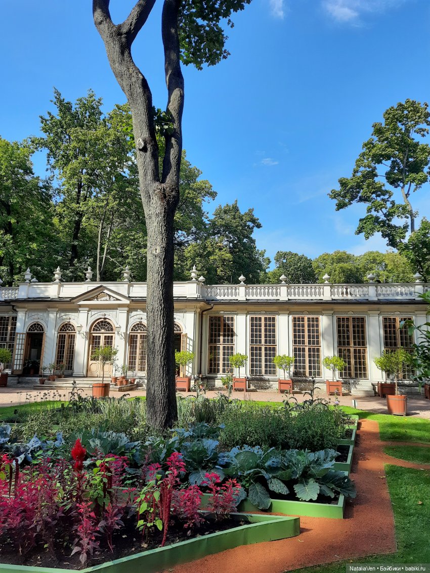 Лето «в стиле Zwergnase», или Мьёлль и Фе идут на поиски в Летний сад и Лес