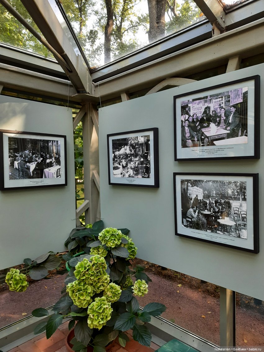 Лето «в стиле Zwergnase», или Мьёлль и Фе идут на поиски в Летний сад и Лес