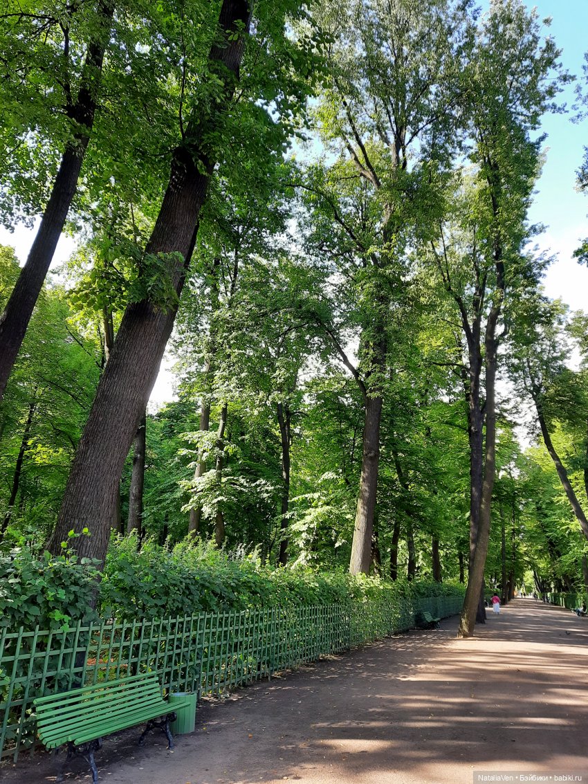 Лето «в стиле Zwergnase», или Мьёлль и Фе идут на поиски в Летний сад и Лес (фото 6)