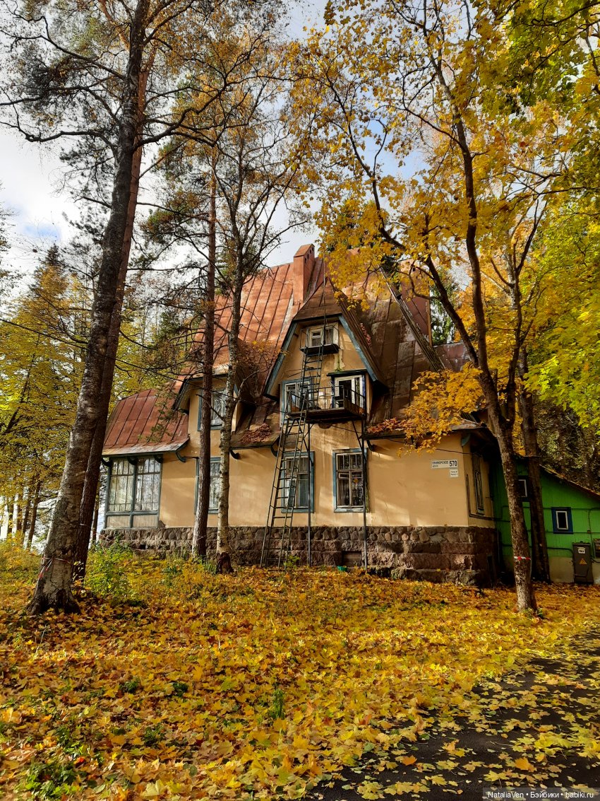 О мечтах: берег Василисы и прогулки с Sasha Doll — дорогами Солнца и Ветра