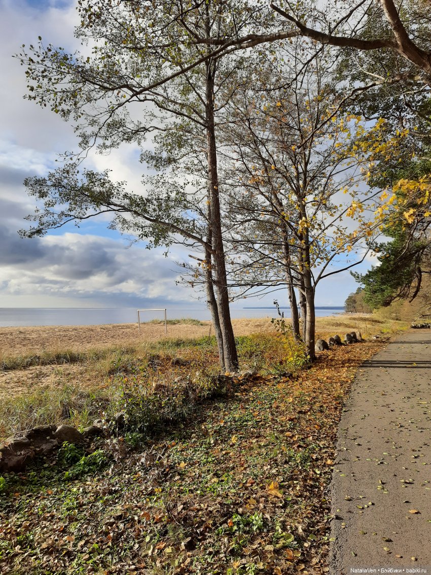 О мечтах: берег Василисы и прогулки с Sasha Doll — дорогами Солнца и Ветра (фото 5)