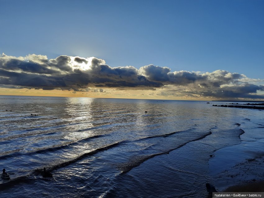 О мечтах: берег Василисы и прогулки с Sasha Doll — дорогами Солнца и Ветра