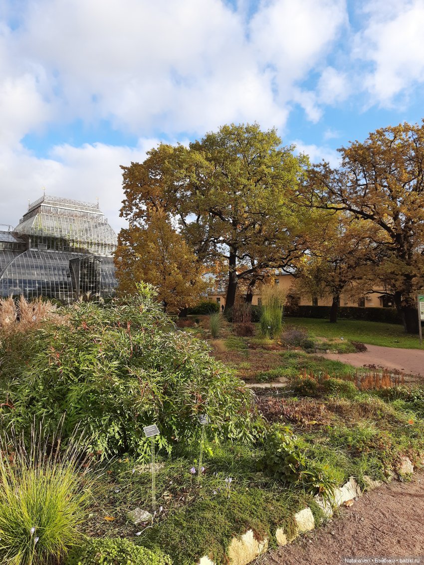 Сон об осени в прогулках с Sasha Doll - Василиса и Ботанический сад (фото 4)