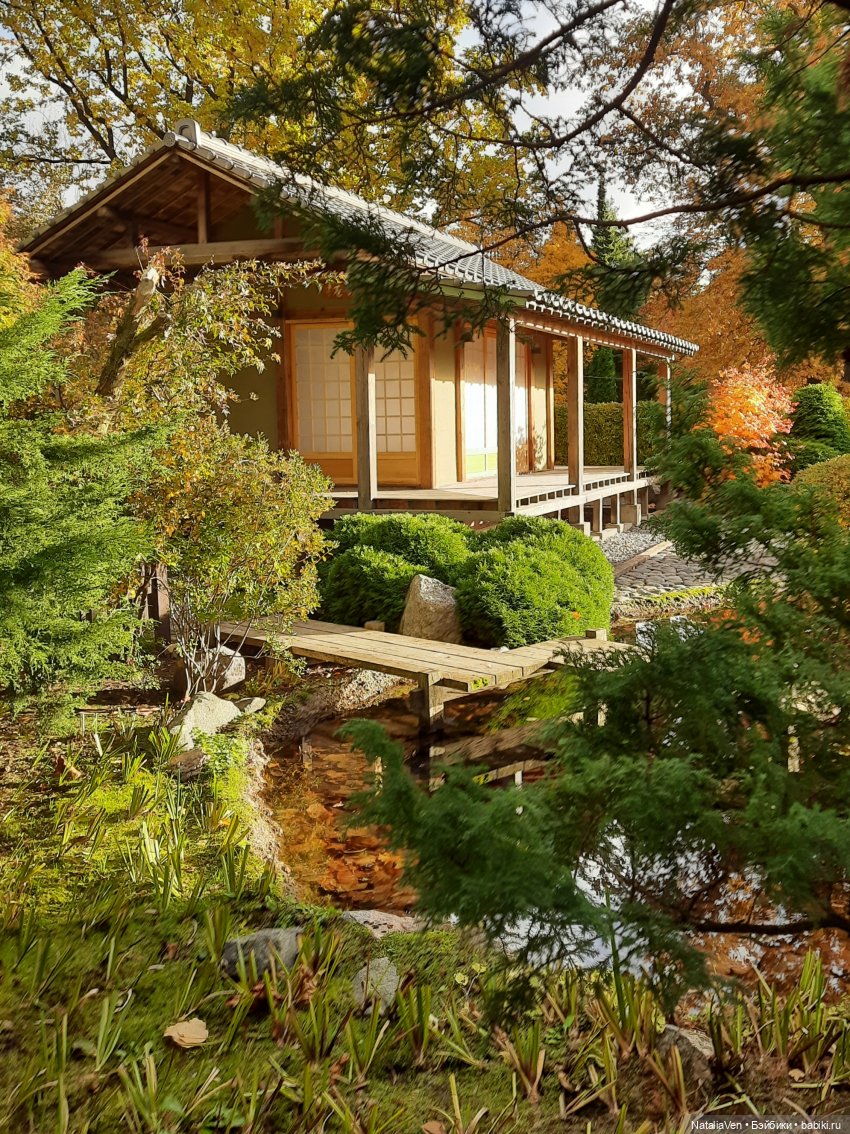 Сон об осени в прогулках с Sasha Doll - Василиса и Ботанический сад