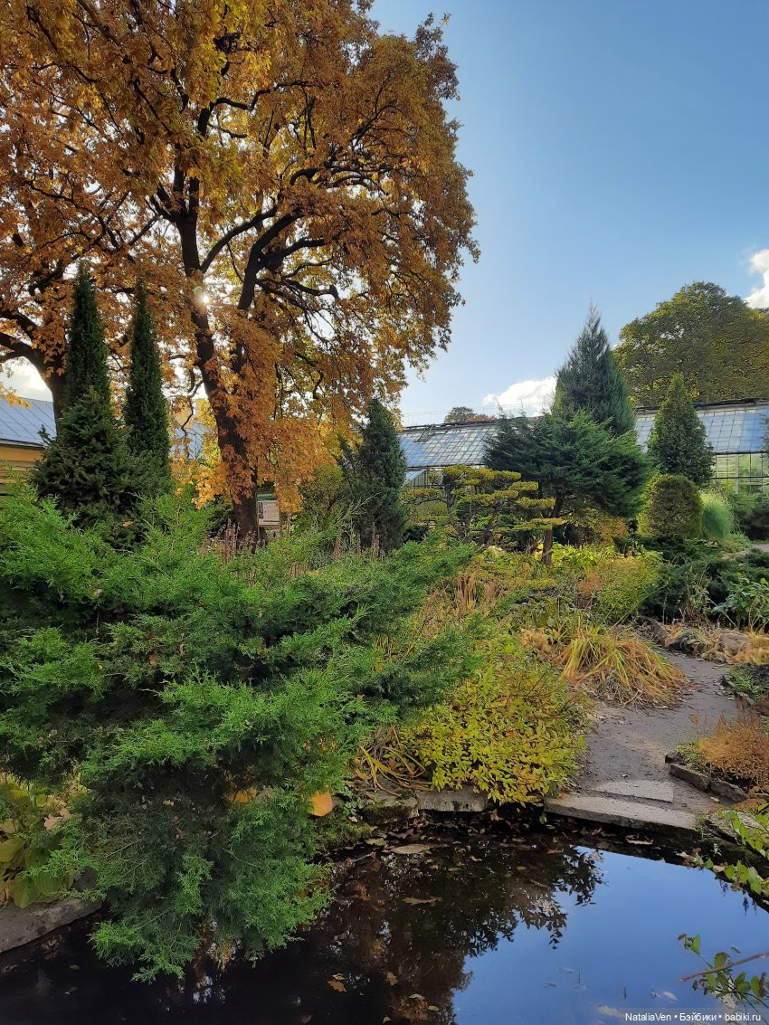 Сон об осени в прогулках с Sasha Doll - Василиса и Ботанический сад