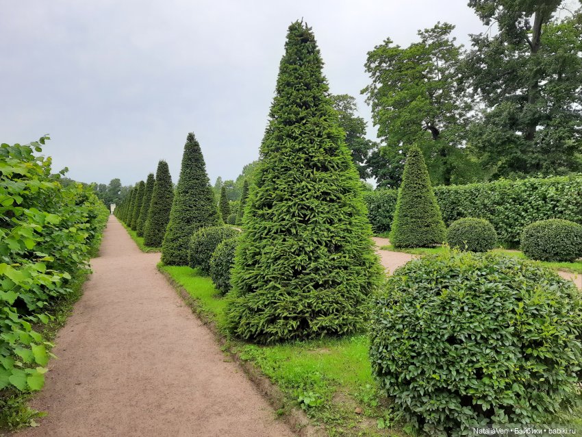 Лето с Минуш - Элен и тихая красота Ораниенбаума (фото 4)