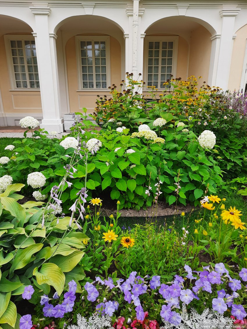 Лето с Минуш - Элен и тихая красота Ораниенбаума