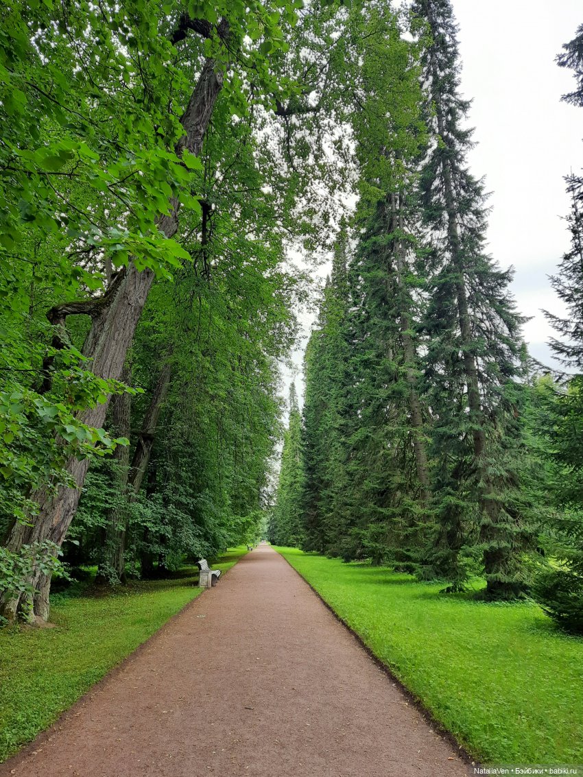 Лето с Минуш - Элен и тихая красота Ораниенбаума