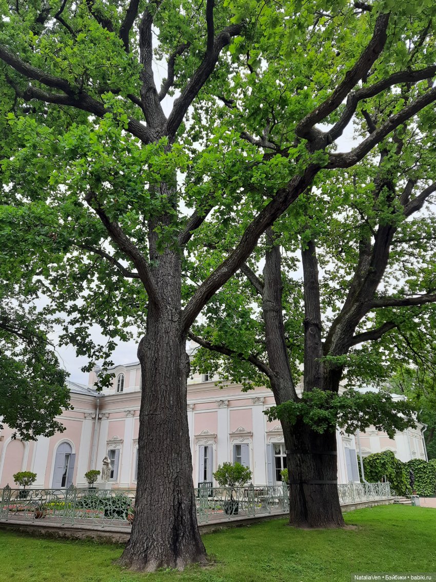 Лето с Минуш - Элен и тихая красота Ораниенбаума