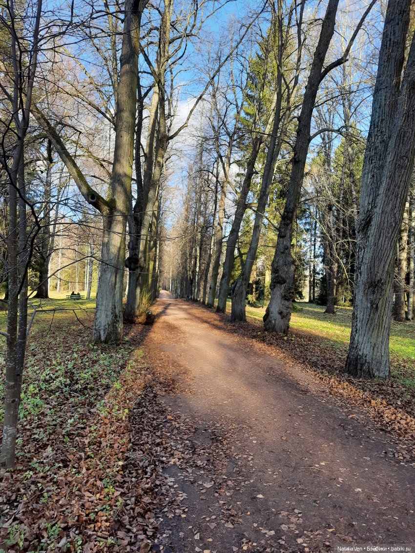 Шерлок Nines D'Onil, или Иванка идёт по следу Белки Баскервилей (и не только) (фото 6)
