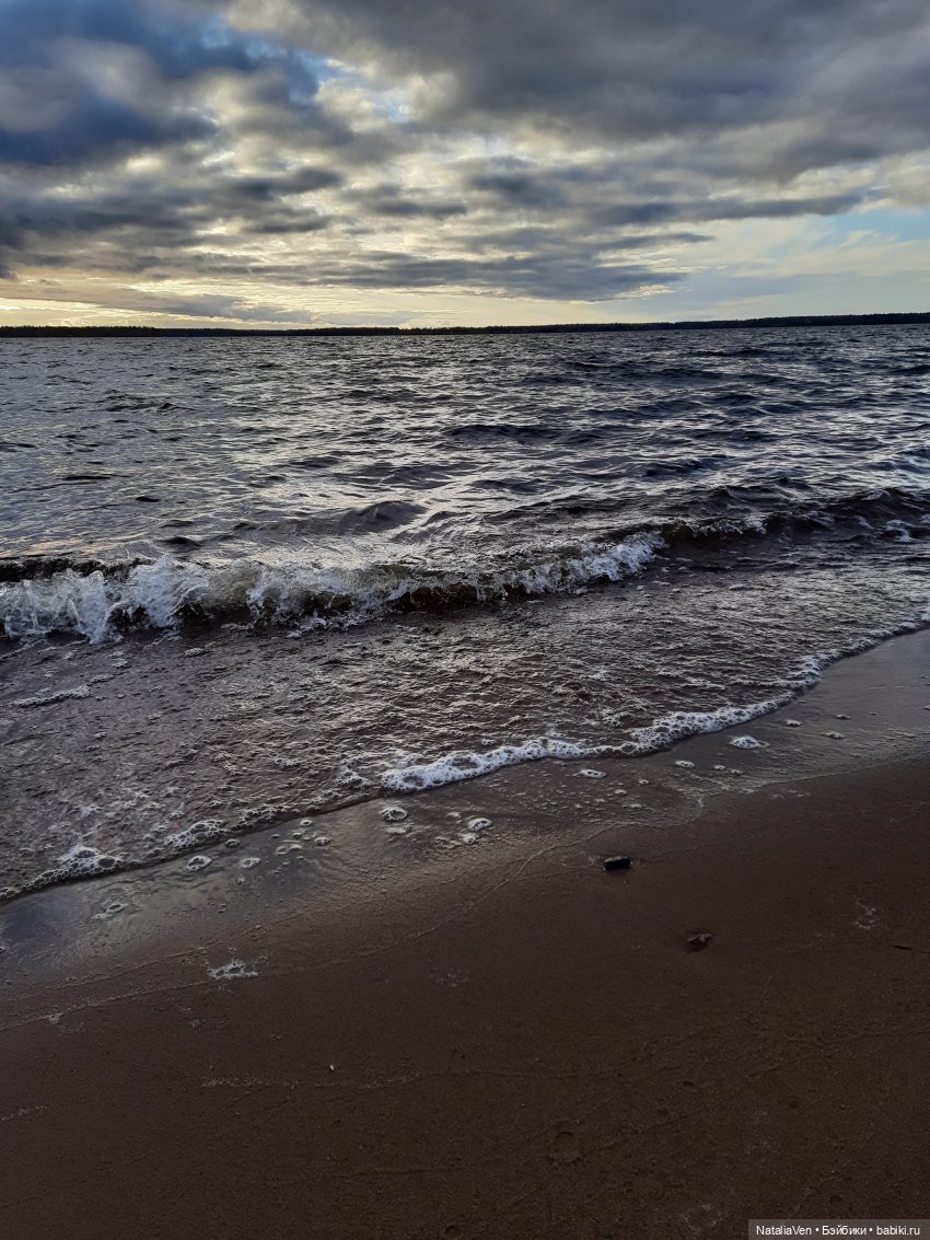 Шерлок Nines D'Onil, или Иванка идёт по следу Белки Баскервилей (и не только)