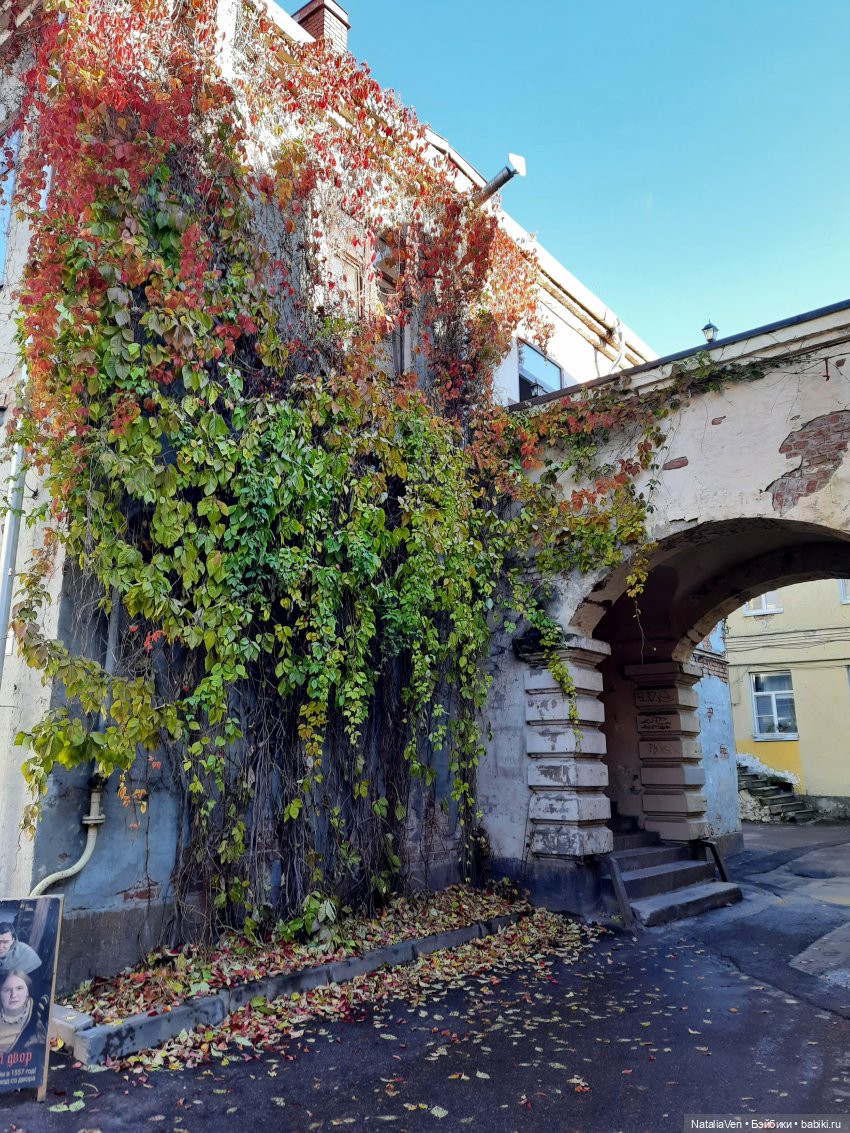 Шерлок Nines D'Onil, или Иванка идёт по следу Белки Баскервилей (и не только)