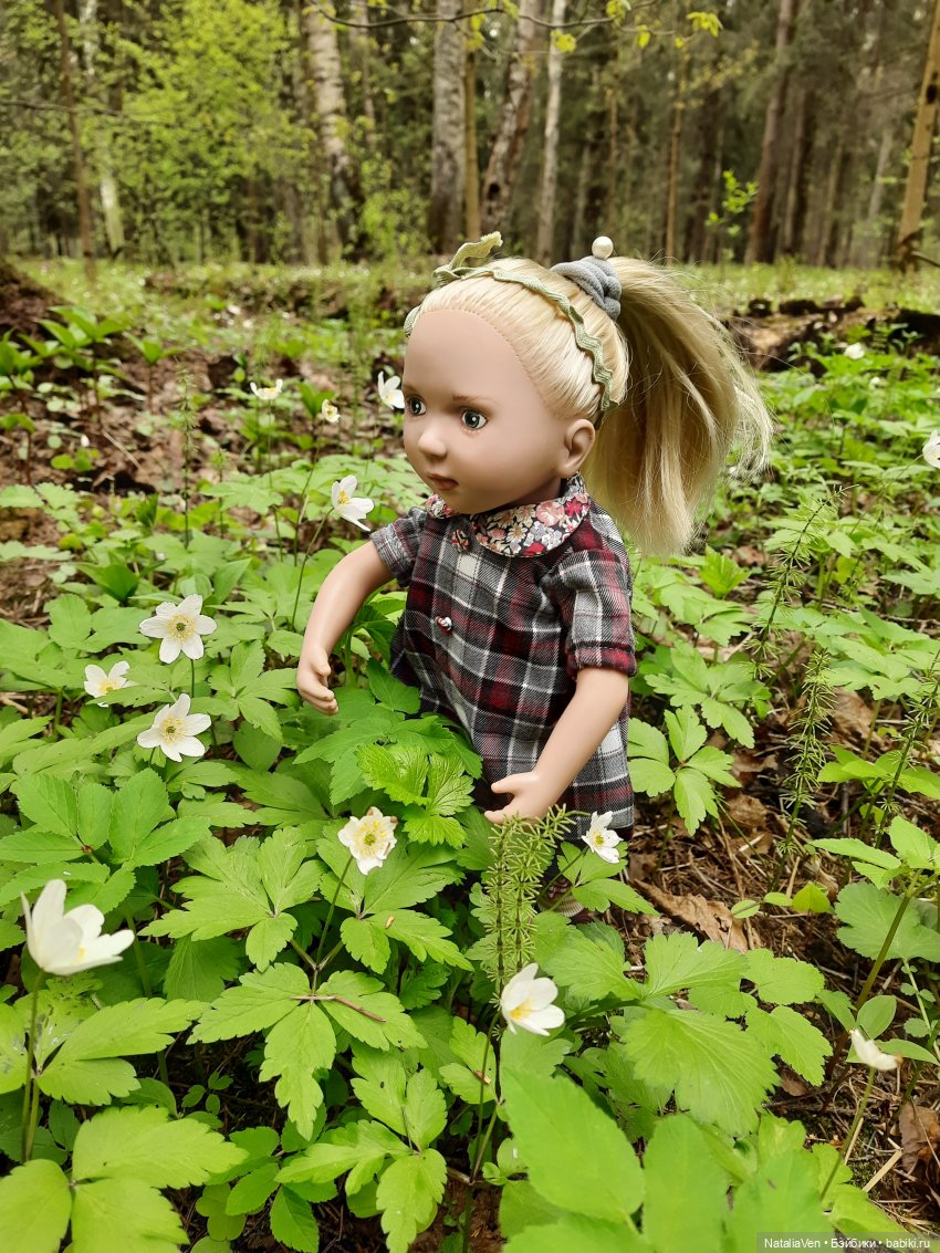 Листая Цверго-календарь: поиск лесных и дворцово-парковых сокровищ во всех временах года